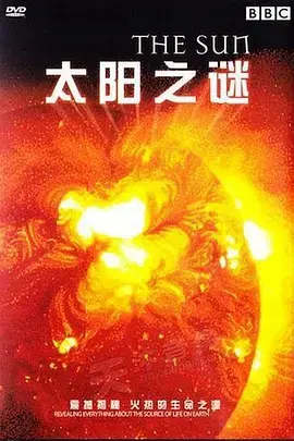 《太阳之谜》：探索宇宙深处的奥秘，一场关于光与生命的视觉盛宴