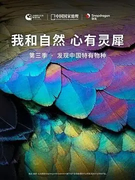 《我和自然 心有灵犀 第三季》：探寻中国特有物种，这场‘发现’之旅我给满分！